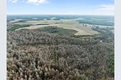 2876 Dunn Road, Roseboro, NC 28382 - Photo 13