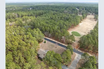 30080 Deercroft Drive, Wagram, NC 28396 - Photo 39