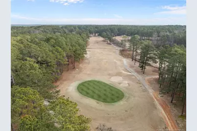 30080 Deercroft Drive, Wagram, NC 28396 - Photo 37