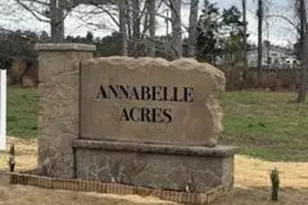 85 Makaiah Ln, Red Springs, NC 28377 - Photo 25