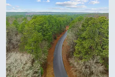 221 Pebble Drive, West End, NC 27376 - Photo 3