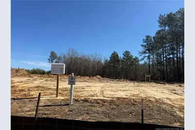 1959 Thomas Wood (Lot 94) Drive, Fayetteville, NC 28306 - Photo 1