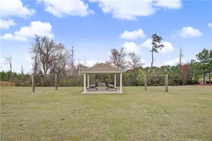 41 Black Diamond Ct, Lillington, NC 27546 - Photo 49