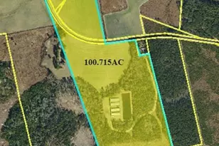 4754 Berry Lewis Rd, Bladenboro, NC 28320 - Photo 3