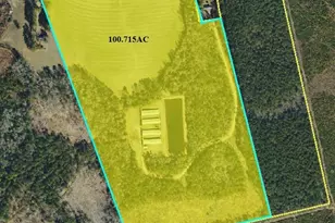 4754 Berry Lewis Rd, Bladenboro, NC 28320 - Photo 3