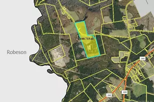 4754 Berry Lewis Rd, Bladenboro, NC 28320 - Photo 1