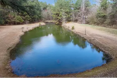 4731 Cogdell Road, Fayetteville, NC 28312 - Photo 37