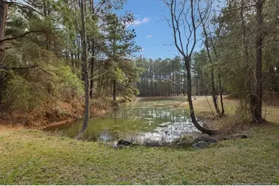 4731 Cogdell Road, Fayetteville, NC 28312 - Photo 41