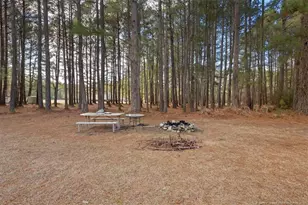 4731 Cogdell Rd, Fayetteville, NC 28312 - Photo 39