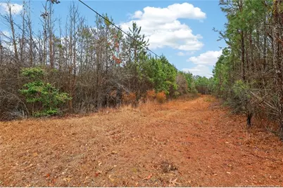 Sheriff Watson Road, Sanford, NC 27332 - Photo 5