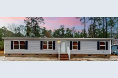 4571 Mercer Mill Brown Marsh Road, Clarkton, NC 28433 - Photo 1