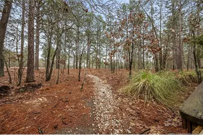 265 Quail Hollow, Sanford, NC 27332 - Photo 43