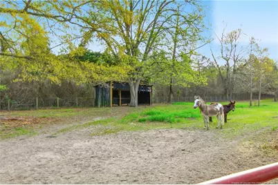 449 Montrose Road, Raeford, NC 28376 - Photo 27
