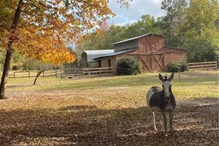 449 Montrose Rd, Raeford, NC 28376 - Photo 3