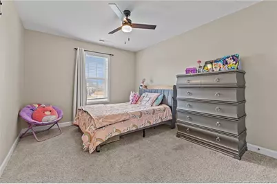 307 Mill Ridge Court, Godwin, NC 28344 - Photo 31