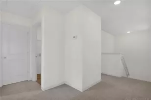 285 Buggy Top Ln, Autryville, NC 28318 - Photo 21