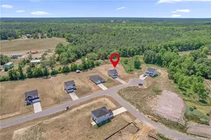 285 Buggy Top Ln, Autryville, NC 28318 - Photo 41