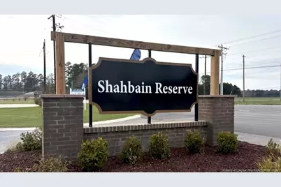 397 Hartfield Avenue, Raeford, NC 28376 - Photo 33