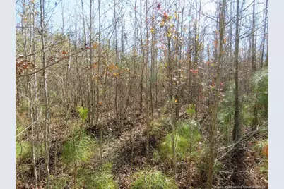 Glory Light Road, Fairmont, NC 28340 - Photo 3