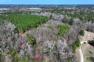 Glory Light Rd, Fairmont, NC 28340 - Photo 1