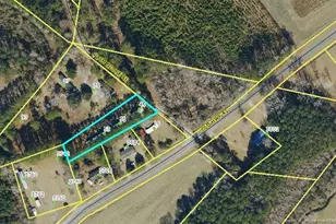 45 51 53 Plum Nellie Rd, Bladenboro, NC 28320 - Photo 1