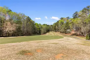 726 Piccadilly Ct, Sanford, NC 27332 - Photo 47