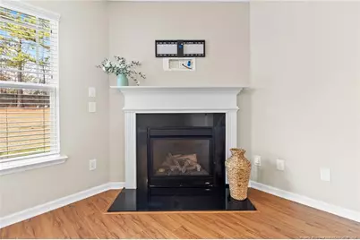 141 Angel Oak Drive, Bunnlevel, NC 28323 - Photo 7