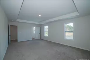 68 Mossy Brg Ct, Lillington, NC 27546 - Photo 19