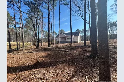 175 Landon Ridge, Sanford, NC 27330 - Photo 3