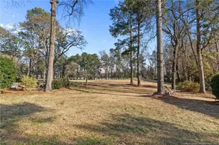 5921 Mockingbird Ln, Sanford, NC 27332 - Photo 45