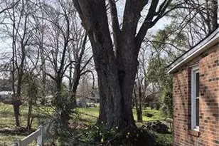 1008 Coree St, Lumberton, NC 28358 - Photo 17