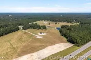 395 Atkins Rd, Cameron, NC 28326 - Photo 1