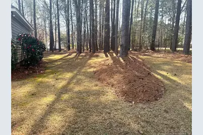 235 Palace Drive, Sanford, NC 27330 - Photo 9