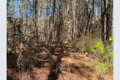 0 Tempting Church Road, Sanford, NC 27330 - Photo 3