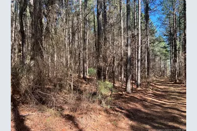 0 Tempting Church Road, Sanford, NC 27330 - Photo 1