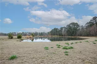 480 Blakely Rd, Sanford, NC 27332 - Photo 47