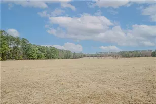 480 Blakely Rd, Sanford, NC 27332 - Photo 45