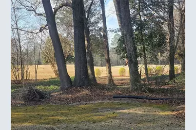 387 Loblolly Drive, Vass, NC 28394 - Photo 41