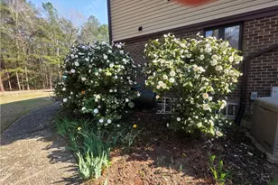 387 Loblolly Dr, Vass, NC 28394 - Photo 37