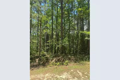 355 Marigold Lane, Vass, NC 28394 - Photo 5