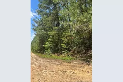 355 Marigold Lane, Vass, NC 28394 - Photo 3