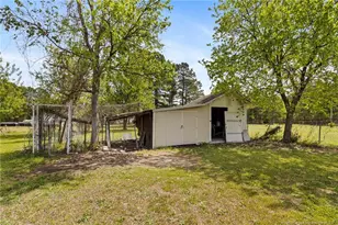 256 Summerhill Rd, Lumber Bridge, NC 28357 - Photo 37