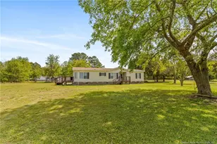 256 Summerhill Rd, Lumber Bridge, NC 28357 - Photo 3