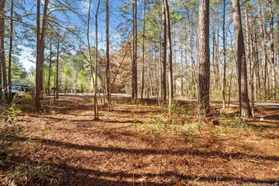 797 Daphne Lane, Vass, NC 28394 - Photo 9