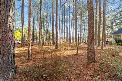 797 Daphne Lane, Vass, NC 28394 - Photo 5