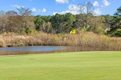 797 Daphne Lane, Vass, NC 28394 - Photo 15