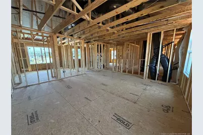 240 Steelwood Street, Raeford, NC 28376 - Photo 23