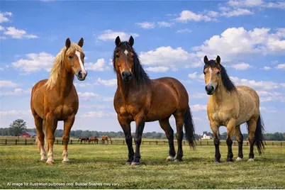 00 Paddock Meadows (Lot 2) Road, Red Springs, NC 28377 - Photo 21