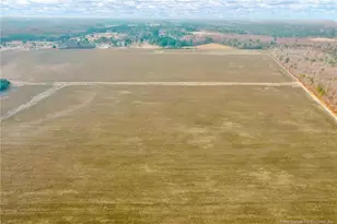 00 Paddow Meadows (Lot 12) Rd, Red Springs, NC 28377 - Photo 29