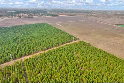 00 Paddock Meadows (Lot 13) Road, Red Springs, NC 28377 - Photo 19